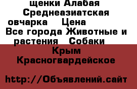 щенки Алабая (Среднеазиатская овчарка) › Цена ­ 15 000 - Все города Животные и растения » Собаки   . Крым,Красногвардейское